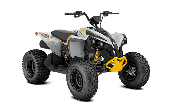 Renegade-110-EFI
